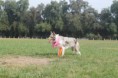 /album/fotogaleria/sophie-pose-jpg/